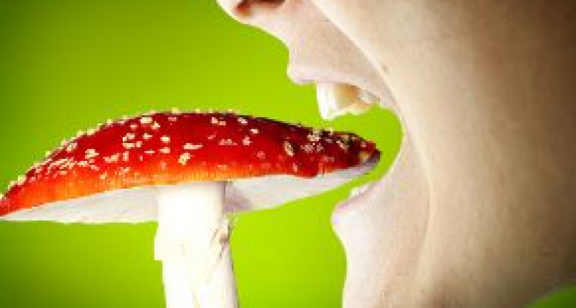 Под Волгоградом супружеская пара отравилась грибами