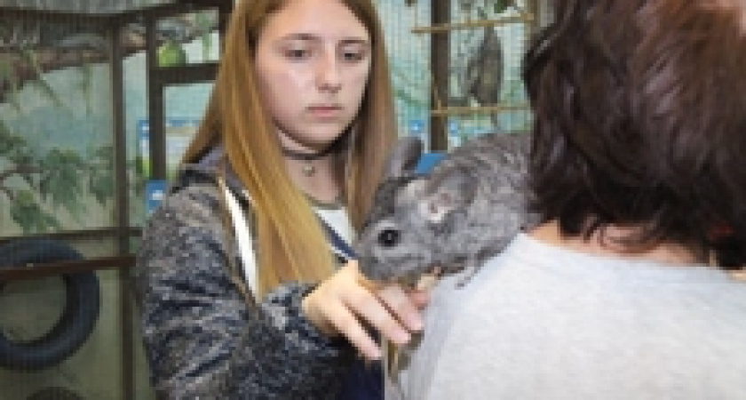 Общение с животными делает детей добрее