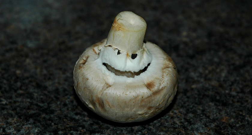 В Волгоградской области 37 человек отравились грибами