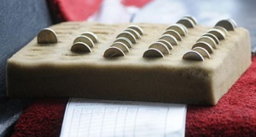 Дорогие саночки