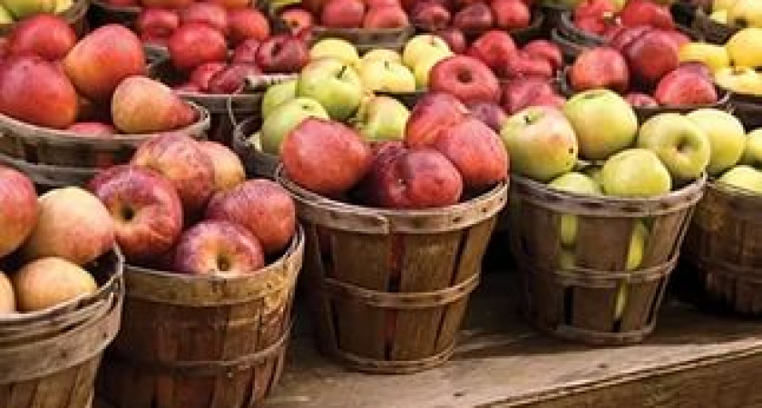 День яблока