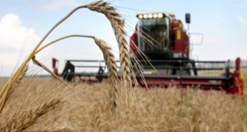 В поле от зари до зари