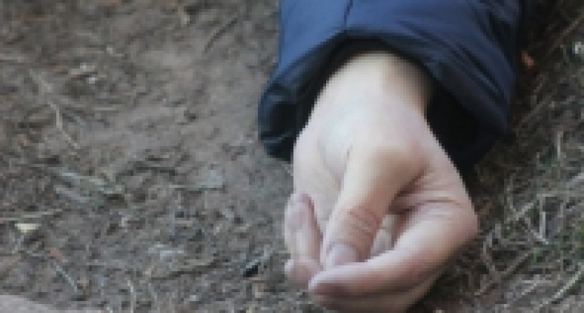 В Волгограде на улице Алийской обнаружено тело 13-летнего подростка