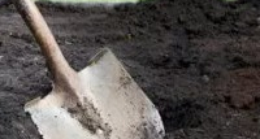 Житель Камышина убил семейную пару и закопал в лесополосе