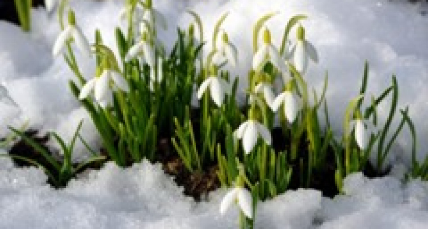 Иларионов день