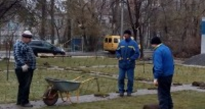 В Волгограде озеленяют сквер на Тулака