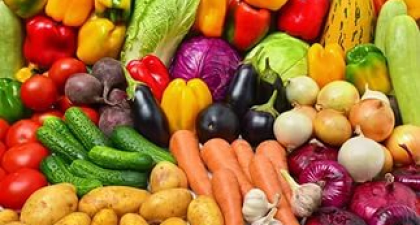 Аграрии Волгограда собрали 590 тысяч тонн овощей