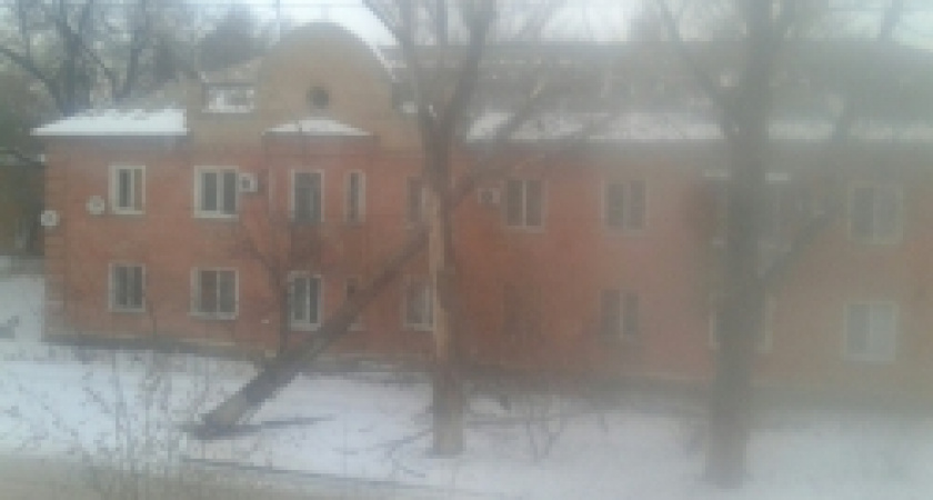 В Волгограде сильный ветер валит деревья на дома и машины 