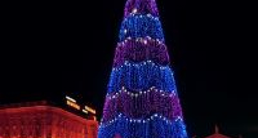 В Волгограде на площади Павших борцов зажглась главная новогодняя елка