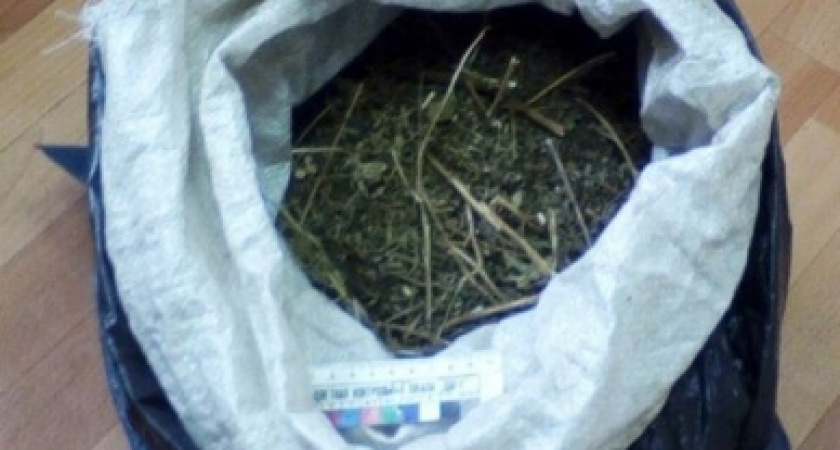 Под Волгоградом безработный хранил в хозпостройке  790 граммов марихуаны