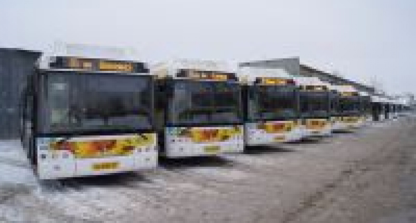 В Волгограде запустят 7 новых  автобусных маршрутов