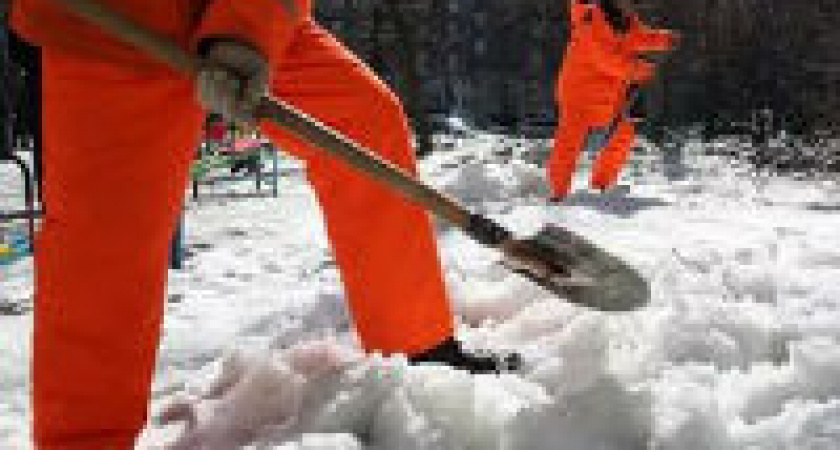 На дороги Волгограда за ночь высыпали 224 тонны реагента