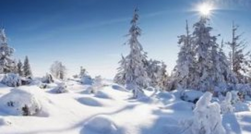 Агей Инесей