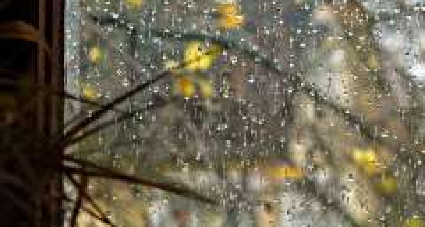 Волгоград ждут гололед, мокрый снег с дождем, туман и изморозь 