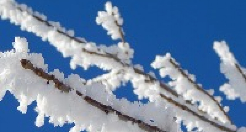 Настасьин день