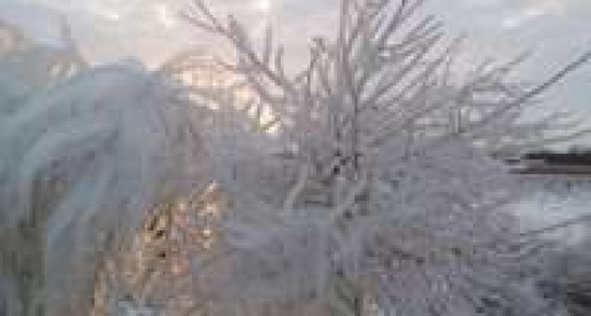 В некоторых районах Волгоградской области объявлено штормовое предупреждение