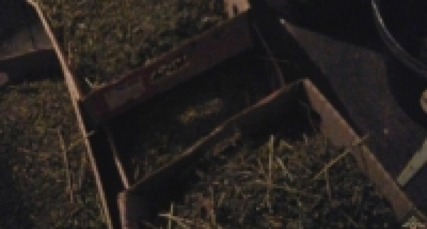 Под Волгоградом задержали банду наркоторговцев 