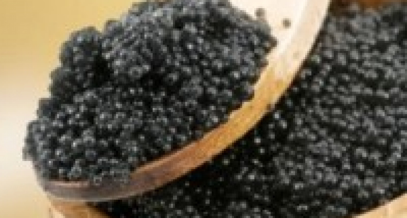 В Волгограде у браконьера изъяли 15 килограммов черной икры