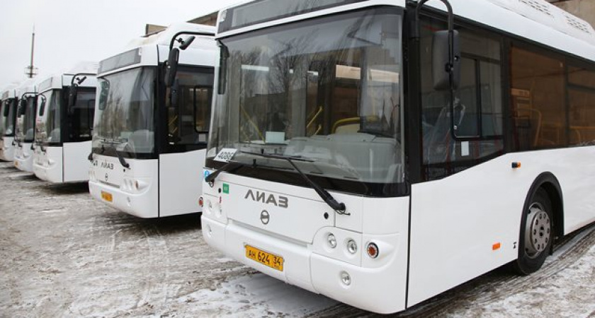В Волгограде начали работу три новых муниципальных автобусных маршрута