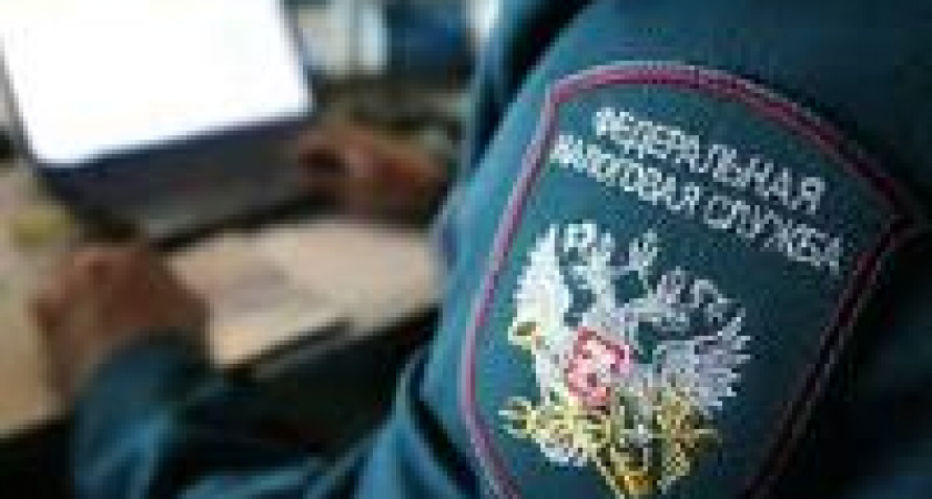 В налоговых инспекциях Волгоградской области пройдут Дни открытых дверей