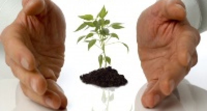 День спонтанного проявления доброты 