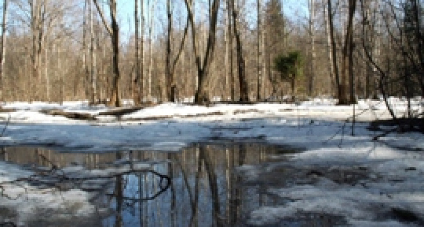 В Волгоград торопится весна:ожидается плюс девять 