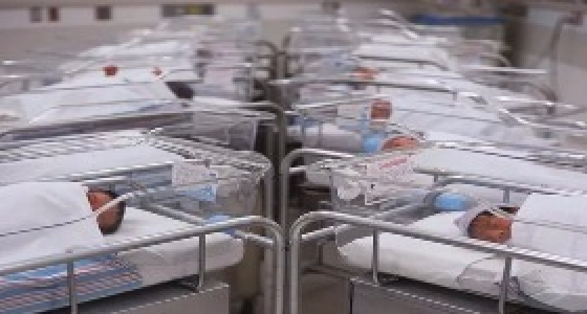 В Волгоградской области увеличилась рождаемость 