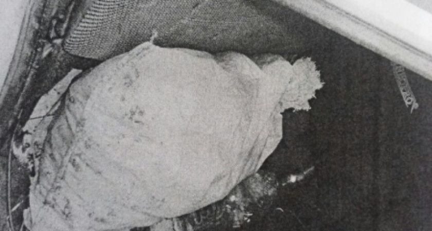 В Волгограде браконьер незаконно выловил 334 рака