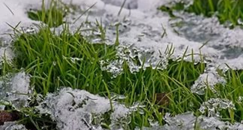 В конце недели в Волгограде ожидается дождь со снегом