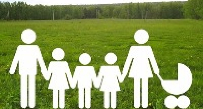 В Волгоградской области на 247 многодетных семей стало больше