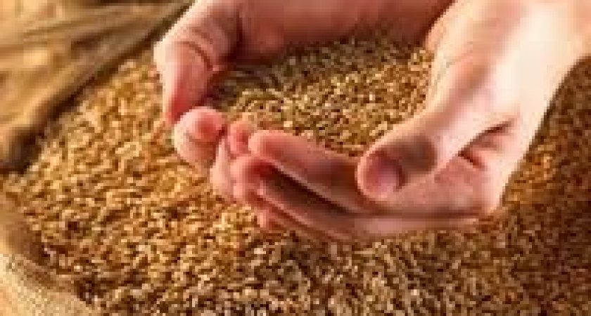 Турция ввела пошлины в 130% для российского зерна