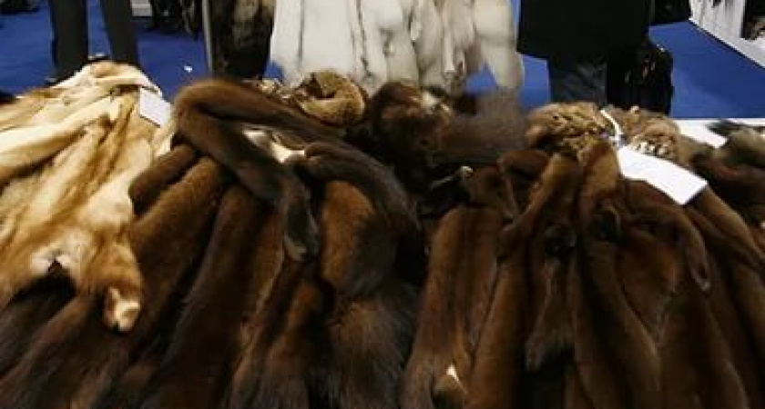 Воры, укравшие в мае  2015 года в Волгограде шубы на 14,5 миллиона,  схвачены в Чебоксарах