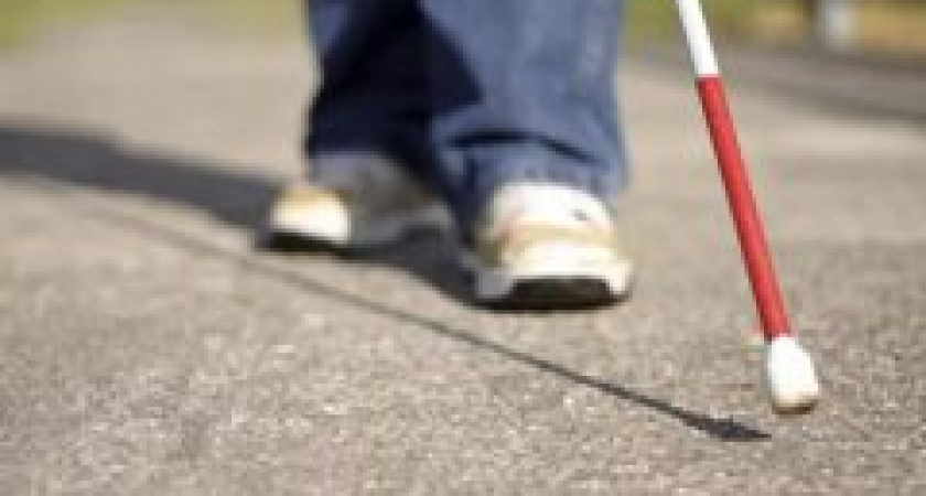 В Волгограде пройдут семинары для людей с ограниченными возможностями