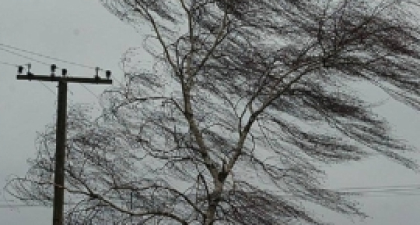 На Волгоград надвигается шквалистый ветер