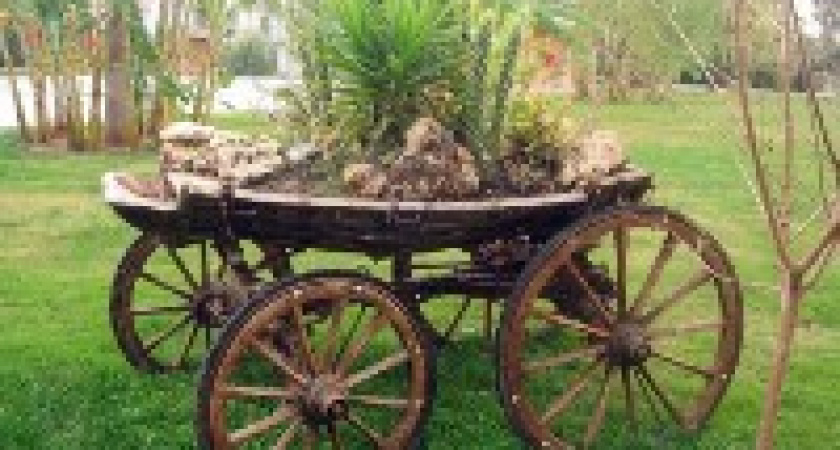 Саввин, Тележный день