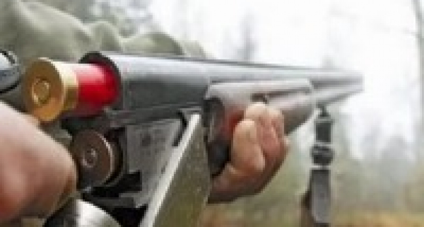 Браконьера из  Калачёвского района будут судить за убийство трёх косуль