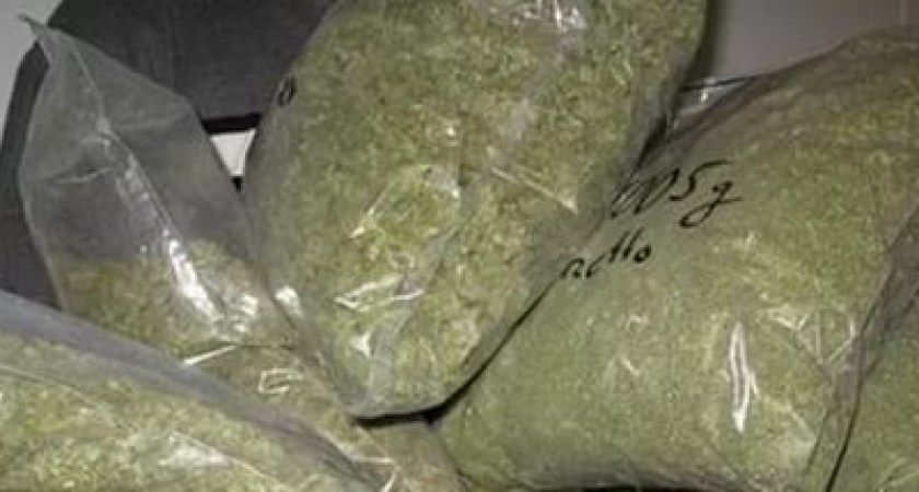 Житель Михайловки хранил дома 175 килограмм марихуаны