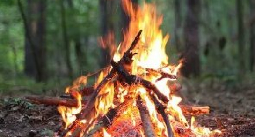 Артемон — дери полоз