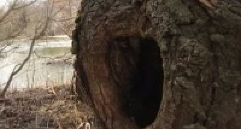 На севере Волгограда задержали закладчинка наркотиков