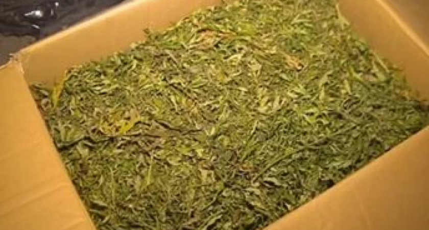 Под Волгоградом 48-летний местный житель хранил в гараже 1 кг марихуаны