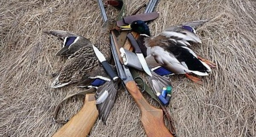 В Волгоградской области завершился сезон охоты на птиц