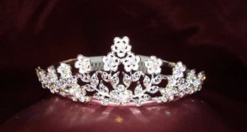 В Волгограде выбрали самую умную и красивую студентку