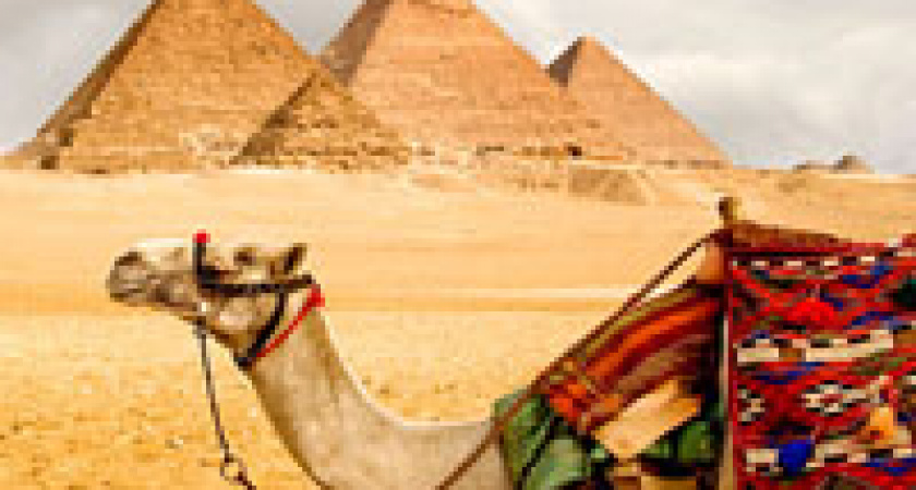Египет вводит электронные визы для туристов