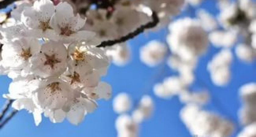 Волгоградцев ждут теплые выходные