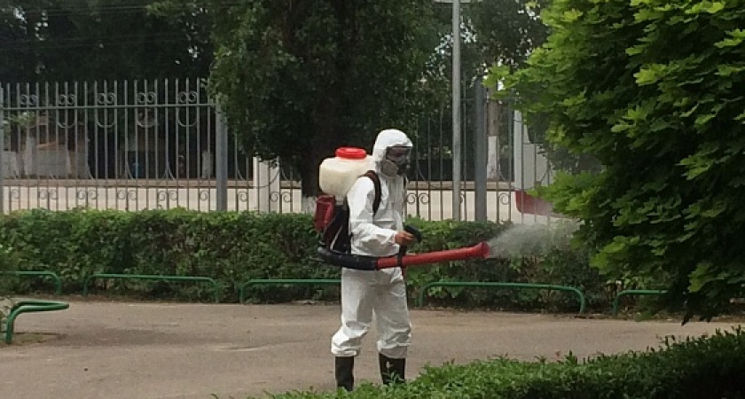 В Волгоградской области водоемы и пляжи обработают от вредителей