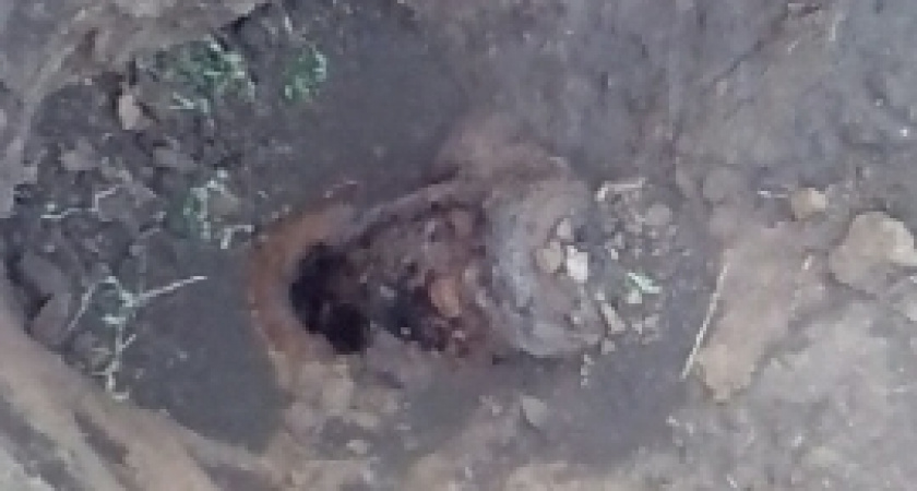 В Волгоградской области найдены две авиабомбы времён ВОВ