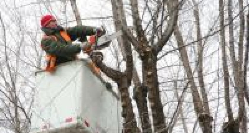 В Волгограде на несколько дней перекроют улицу Чуйкова