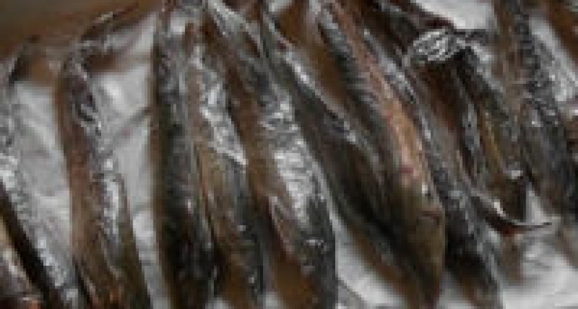 В Волгограде задержали браконьеров с четырьмя литрами чёрной икры