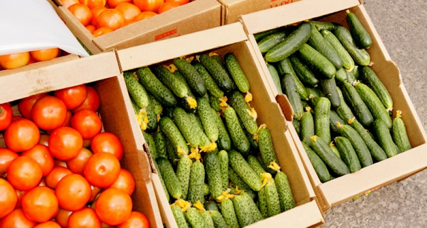 Волгоградцев приглашают на выставку-ярмарку «Дары земли волгоградской»