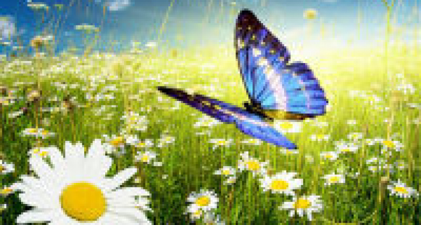 В начале июня в Волгограде ожидается до +30ºС